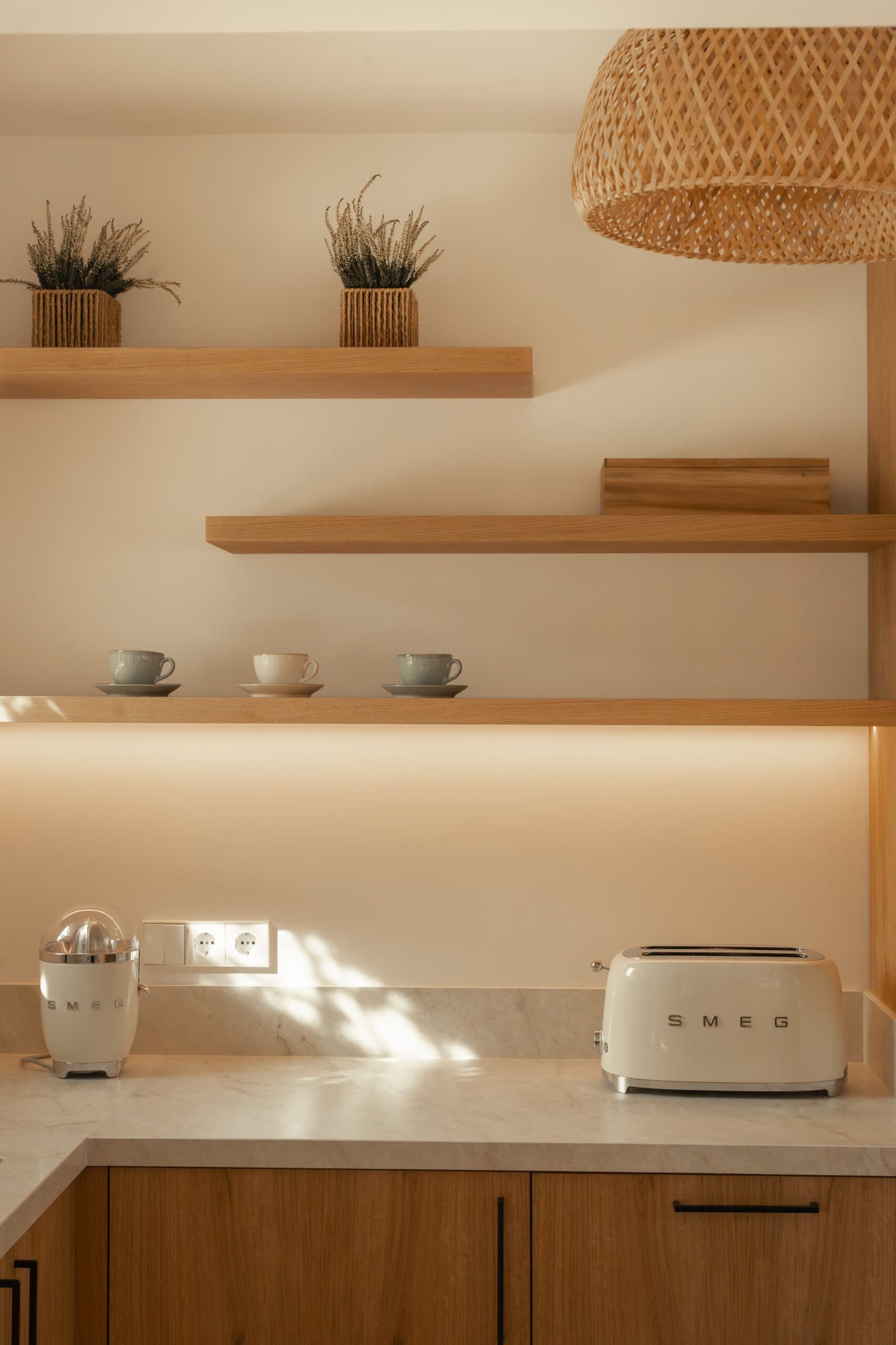 Kitchen shelves with plants and cups, a cream toaster and juicer on the worktop